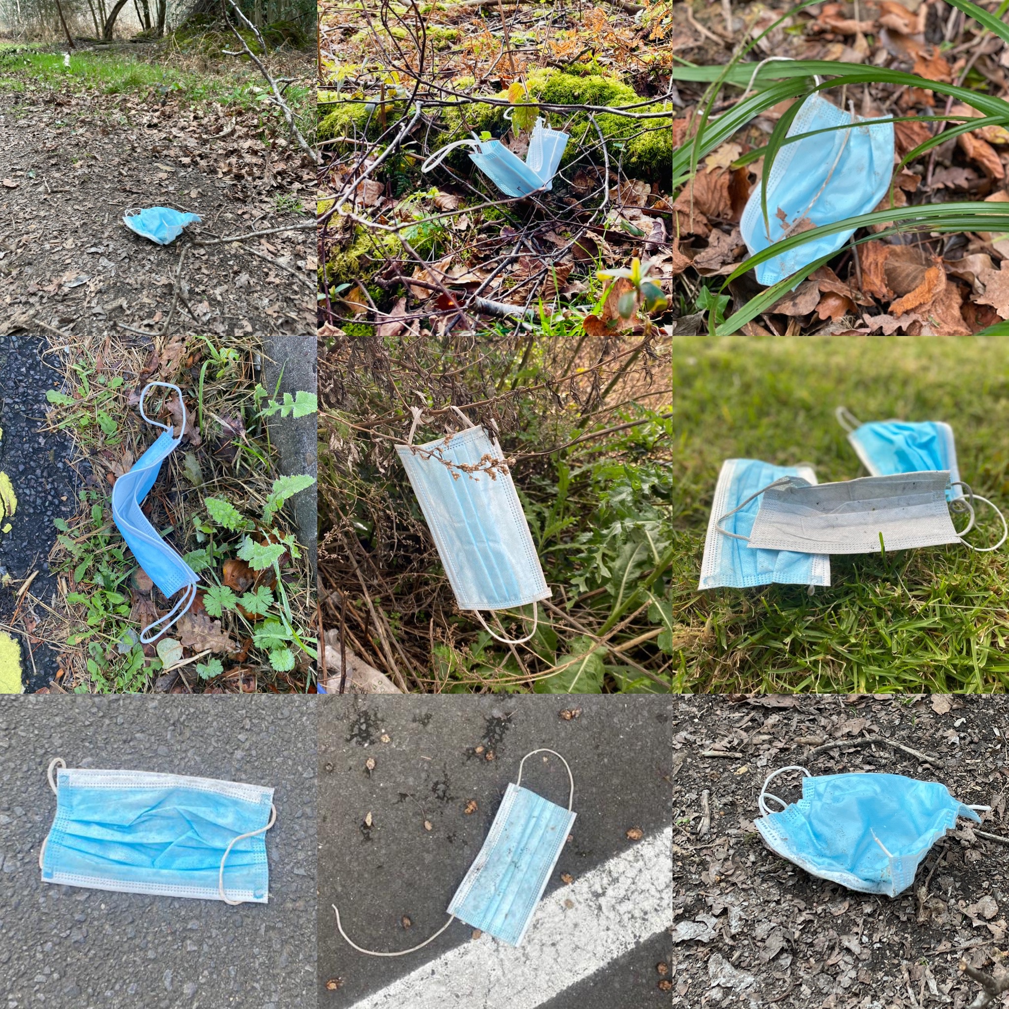 Facemasks littered in countryside
