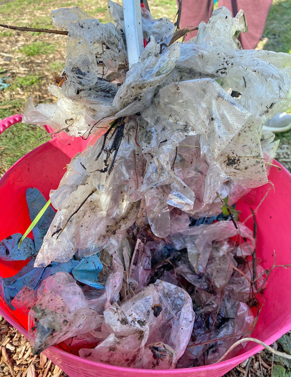 disposable glove litter