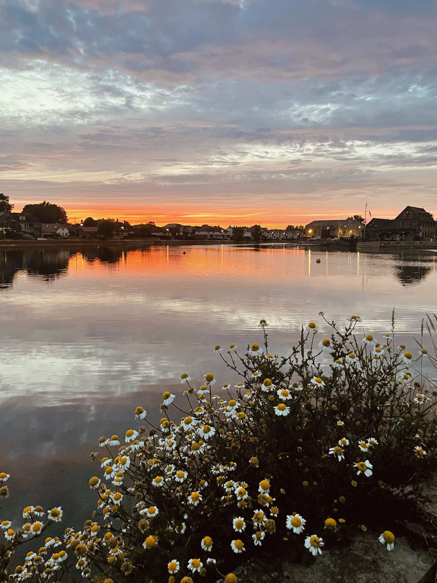 Emsworth Mill Pond 2022