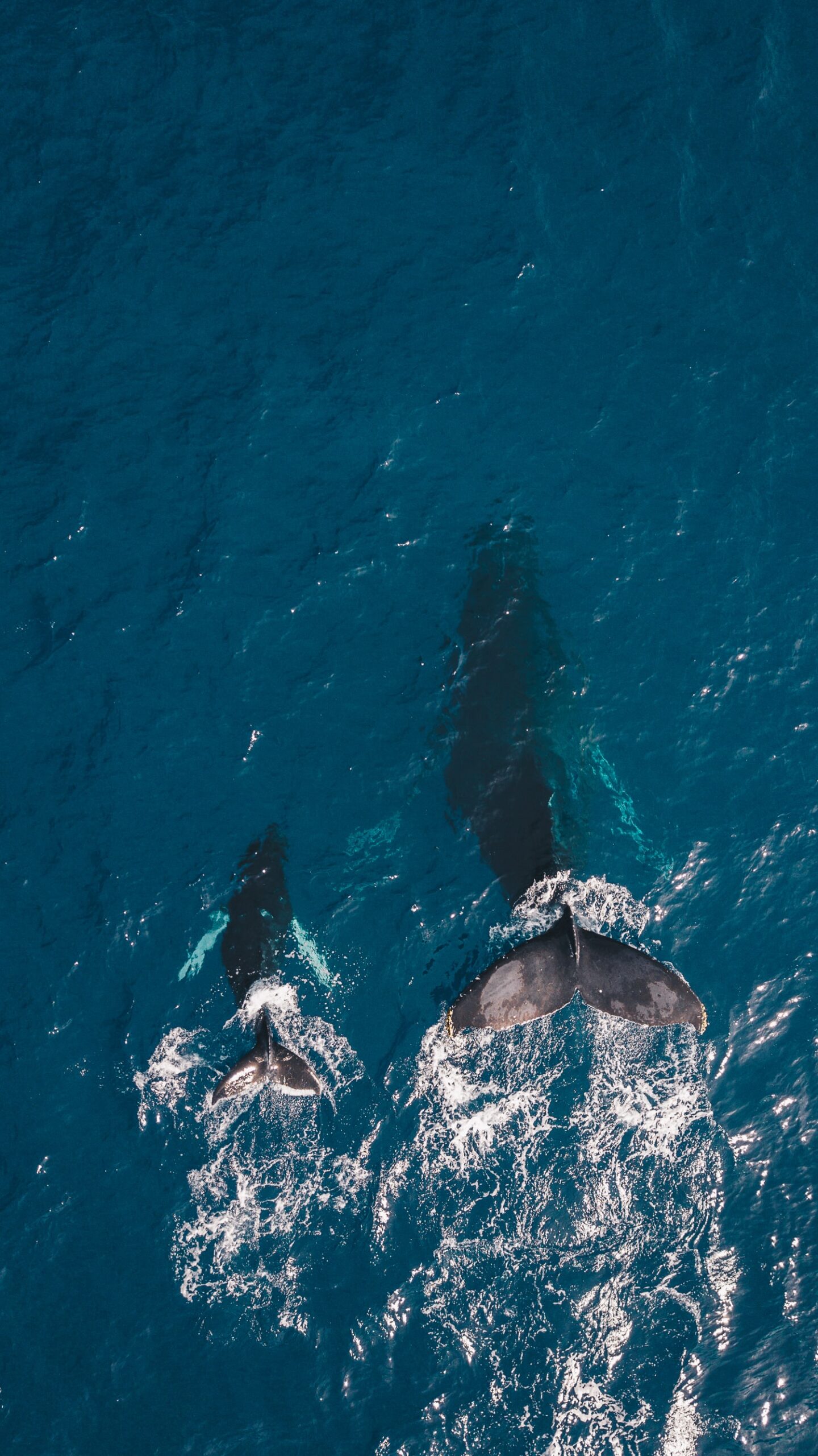 Photo by Guille Pozzi on Unsplash
