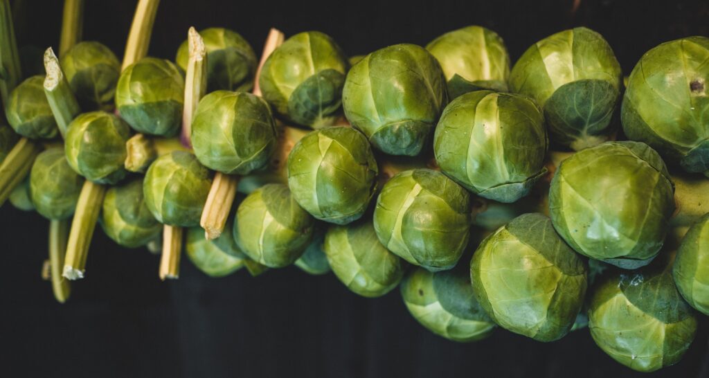 Photo by Matt Seymour on Unsplash
