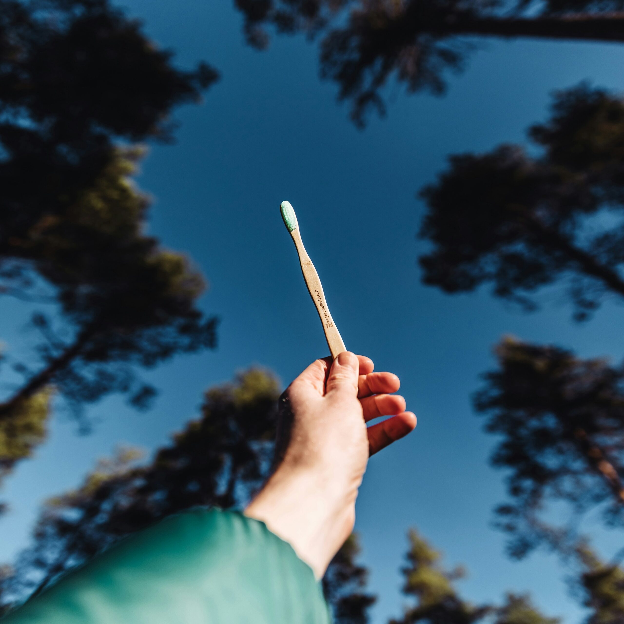 Person holding a bamboo toothbrush up, with the sky and some trees as a backdrop