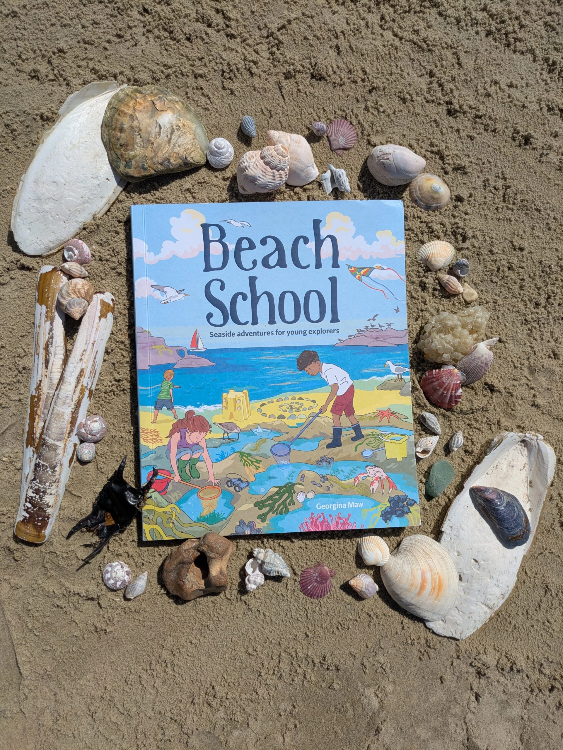 Beach School Book